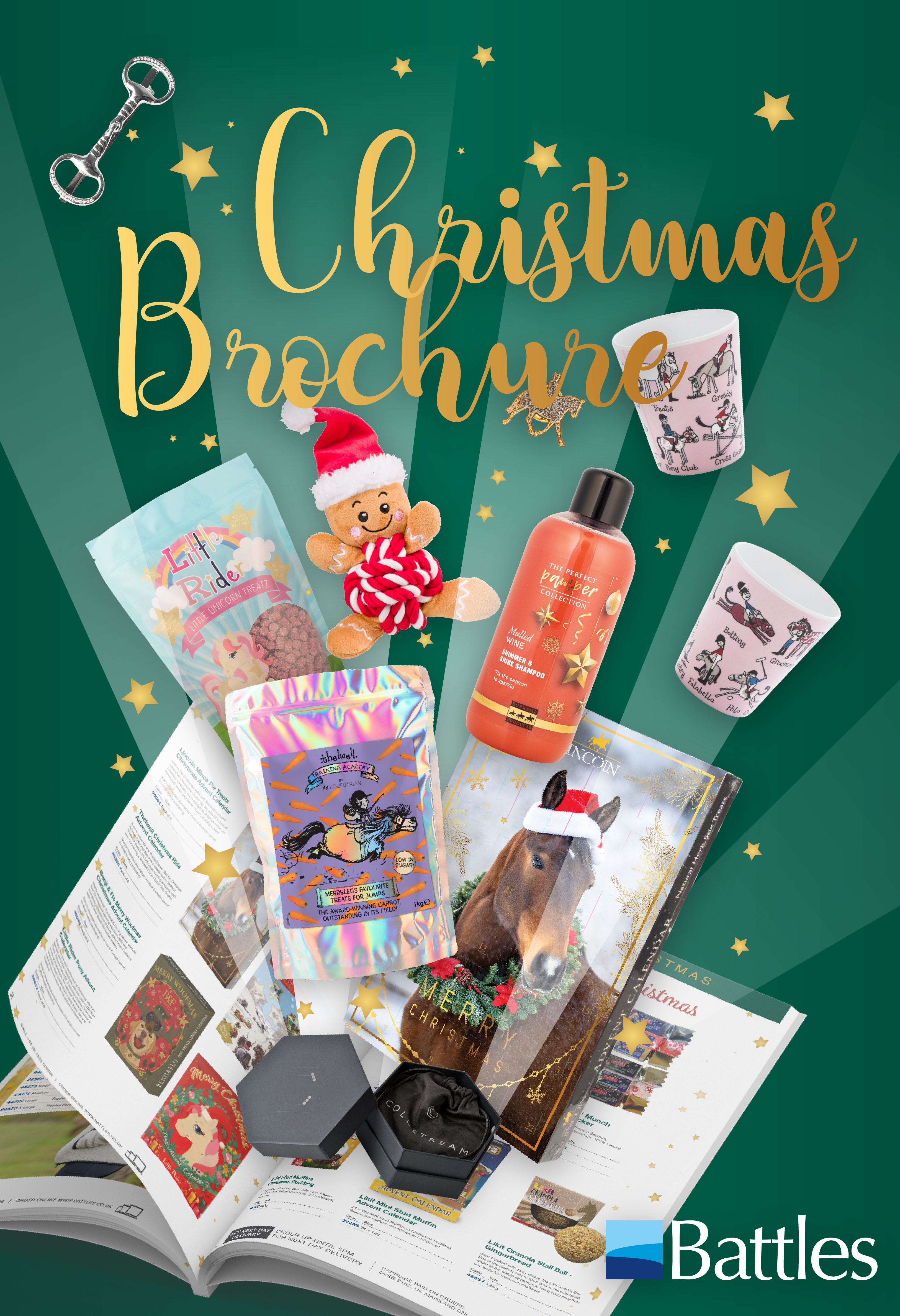 Christmas banner?width=500
